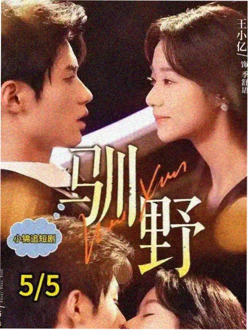 专题图鉴封面：连更剧集的时间轴与灯牌高清图